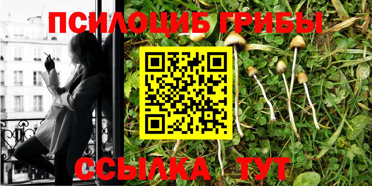 Псилоцибиновые грибы Psilocybine cubensis Новоуральск